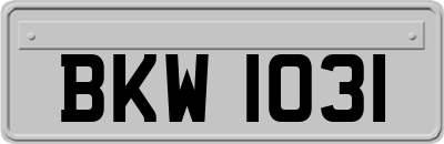 BKW1031