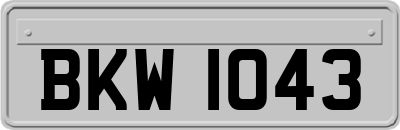 BKW1043
