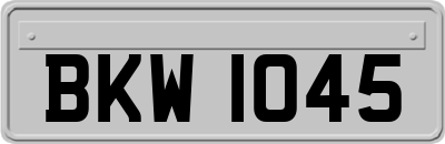 BKW1045