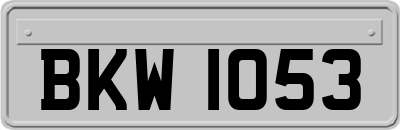 BKW1053