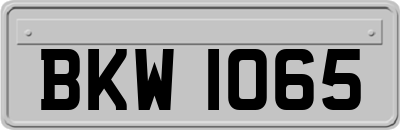 BKW1065