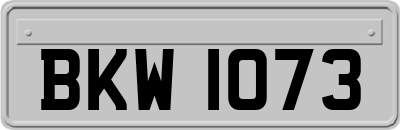 BKW1073