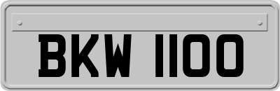 BKW1100