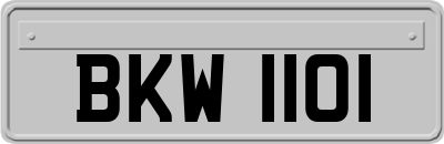 BKW1101