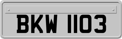 BKW1103
