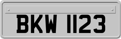 BKW1123