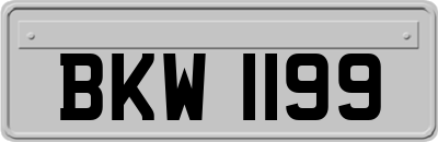 BKW1199