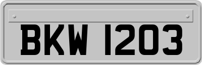 BKW1203