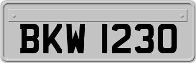 BKW1230