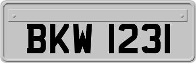 BKW1231