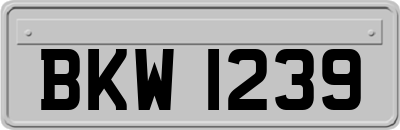 BKW1239
