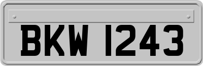 BKW1243