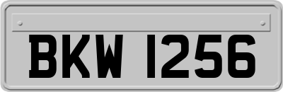 BKW1256