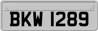 BKW1289