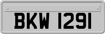 BKW1291