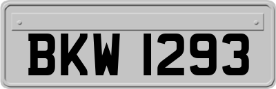 BKW1293