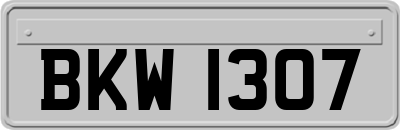 BKW1307