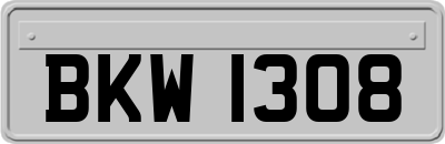 BKW1308