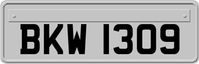 BKW1309
