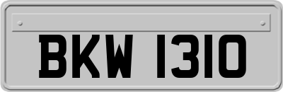 BKW1310