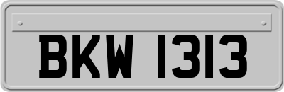 BKW1313