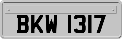 BKW1317