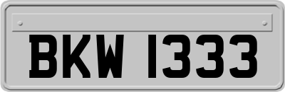 BKW1333