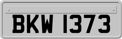 BKW1373