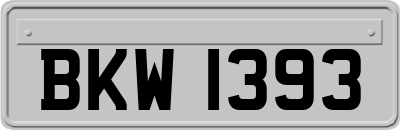 BKW1393