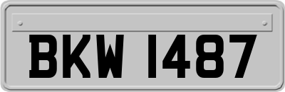 BKW1487