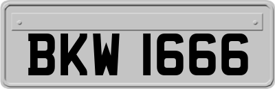 BKW1666