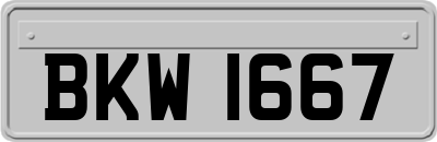 BKW1667