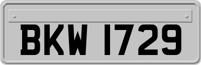 BKW1729