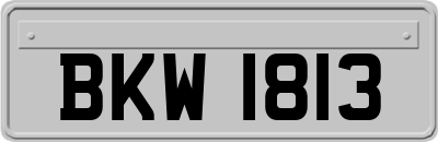BKW1813