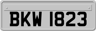 BKW1823
