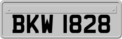 BKW1828