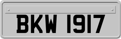 BKW1917