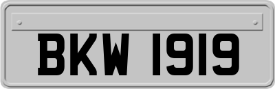 BKW1919