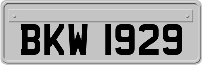 BKW1929