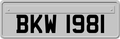 BKW1981