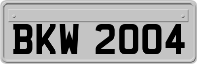 BKW2004