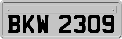 BKW2309
