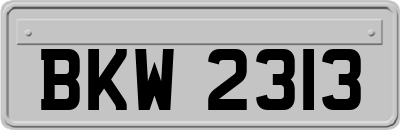 BKW2313