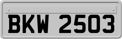 BKW2503