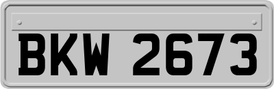BKW2673