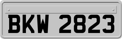 BKW2823