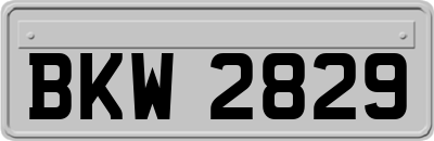 BKW2829