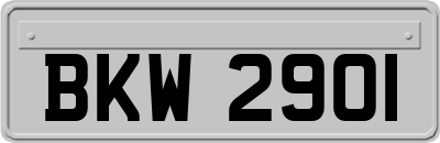 BKW2901