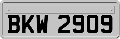 BKW2909