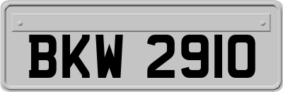 BKW2910